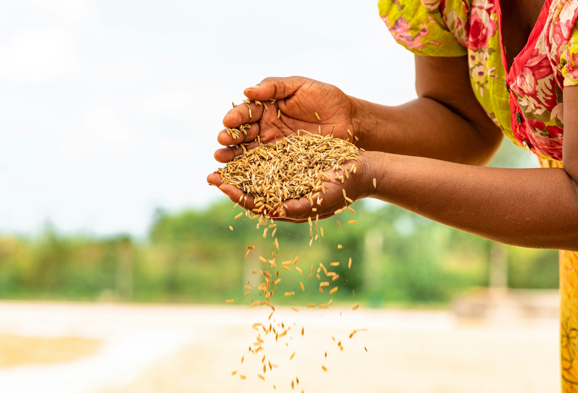 a woman holding a handful of grain in her hands